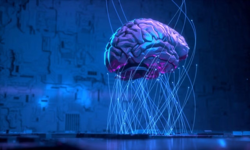 达孜县信创改造:你的开发团队为何必须具备多样性?